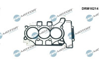 Gasket, cylinder head