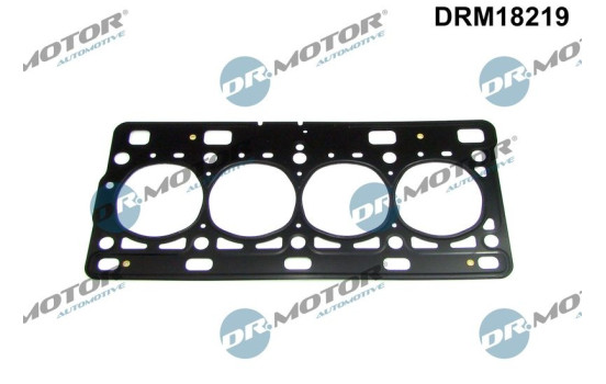Gasket, cylinder head