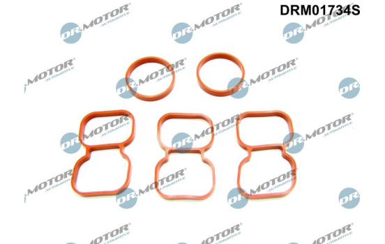 Gasket, cylinder head