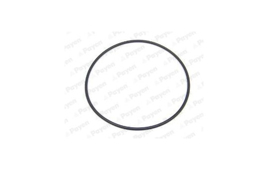 Gasket, cylinder liner LA5236 Payen