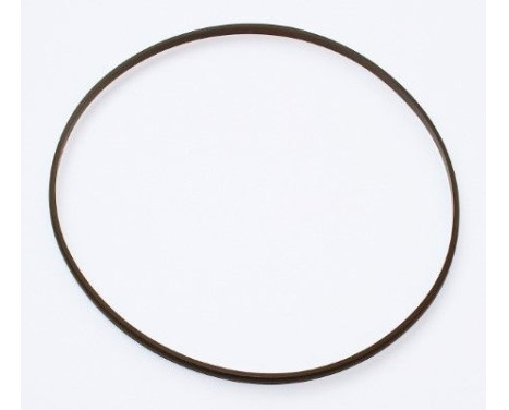 Seal Ring, cylinder liner 003.900 Elring