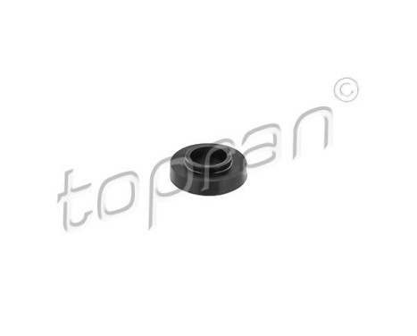 sealing cone