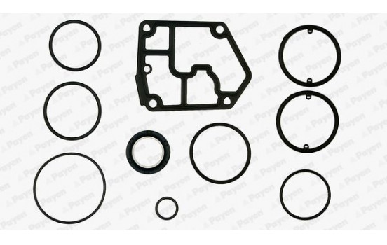 Gasket Set, crank case EF5380 Payen