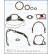 Gasket Set, crank case