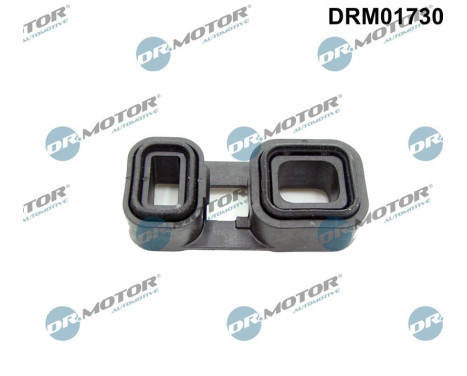 Gasket, automatic transmission