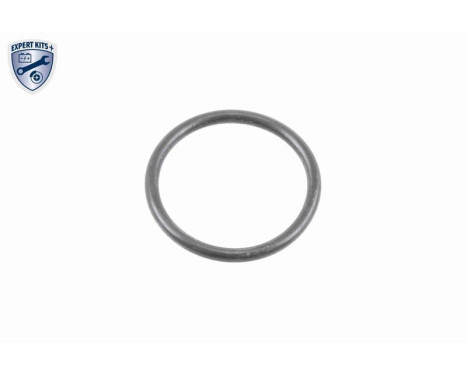 Hydraulic Filter Set, automatic transmission EXPERT KITS +, Image 3