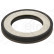 Sealing ring