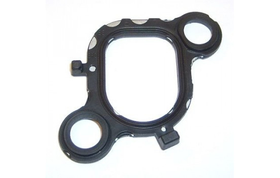 Gasket, intake manifold 016.981 Elring