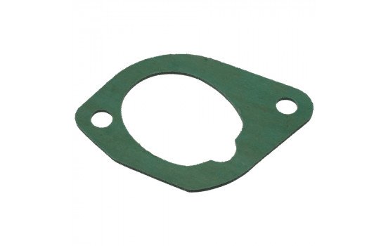 Gasket, intake manifold 12313 FEBI