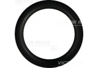 Gasket, intake manifold 40-76246-00 Viktor Reinz