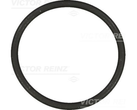 Gasket, intake manifold 40-76854-00 Viktor Reinz