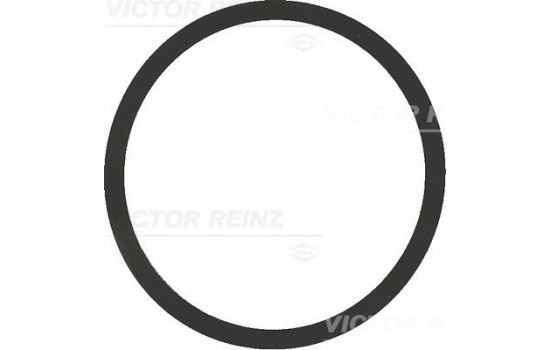 Gasket, intake manifold 40-77542-00 Viktor Reinz