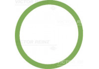 Gasket, intake manifold 41-77647-00 Viktor Reinz
