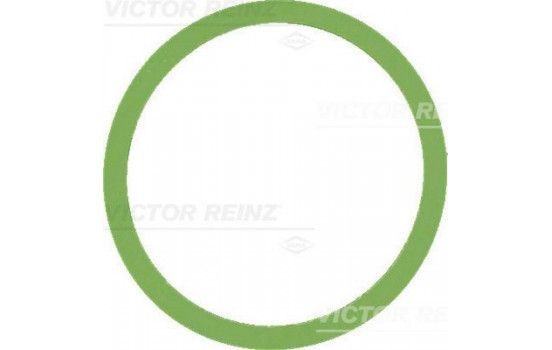 Gasket, intake manifold 41-77647-00 Viktor Reinz