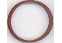 Gasket, intake manifold 424.870 Elring