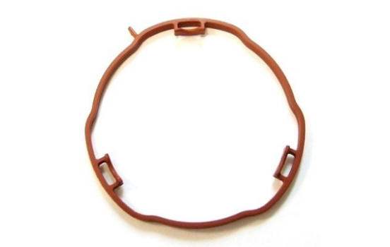 Gasket, intake manifold 456.960 Elring