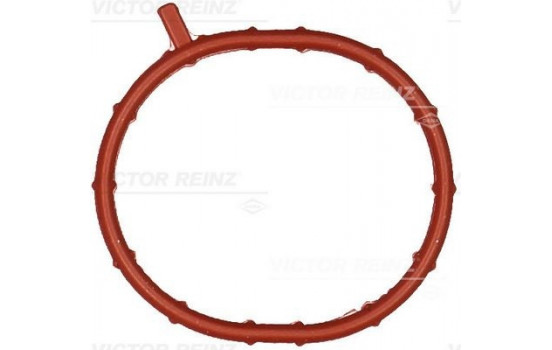 Gasket, intake manifold 71-10030-00 Viktor Reinz