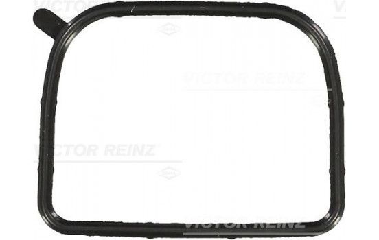 Gasket, intake manifold 71-10116-00 Viktor Reinz