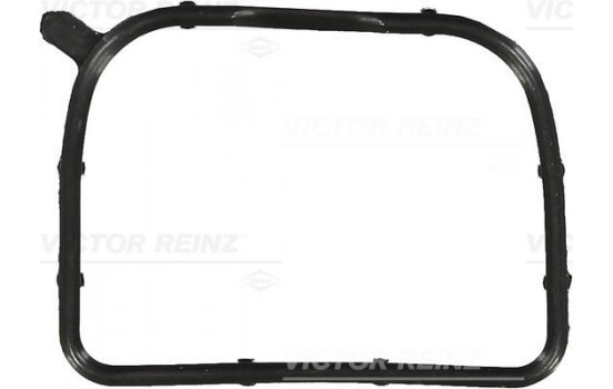 Gasket, intake manifold 71-10118-00 Viktor Reinz