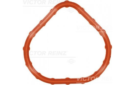 Gasket, intake manifold 71-10184-00 Viktor Reinz