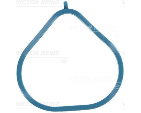 Gasket, intake manifold 71-10209-00 Viktor Reinz