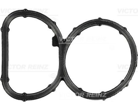Gasket, intake manifold 71-10395-00 Viktor Reinz