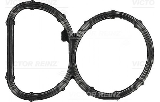 Gasket, intake manifold 71-10395-00 Viktor Reinz