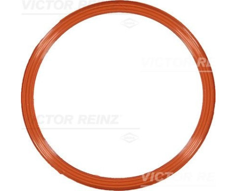 Gasket, intake manifold 71-10829-00 Viktor Reinz
