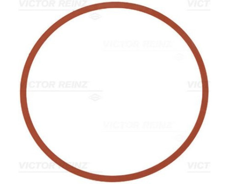 Gasket, intake manifold 71-11403-00 Viktor Reinz