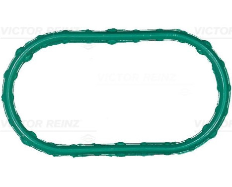 Gasket, intake manifold 71-16679-00 Viktor Reinz