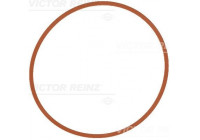 Gasket, intake manifold 71-17146-00 Viktor Reinz