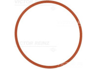 Gasket, intake manifold 71-17370-00 Viktor Reinz