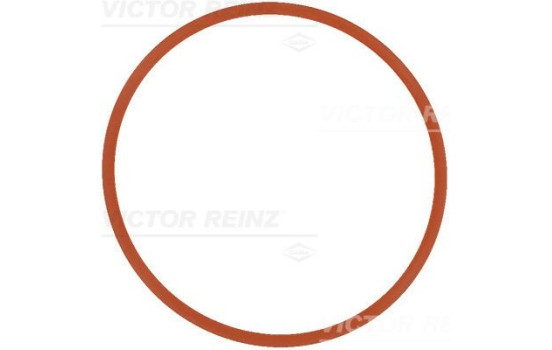 Gasket, intake manifold 71-17370-00 Viktor Reinz