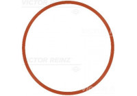 Gasket, intake manifold 71-17585-00 Viktor Reinz