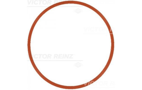 Gasket, intake manifold 71-17585-00 Viktor Reinz