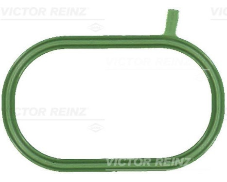 Gasket, intake manifold 71-17696-00 Viktor Reinz