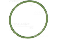 Gasket, intake manifold 71-18338-00 Viktor Reinz