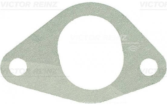 Gasket, intake manifold 71-19741-10 Viktor Reinz