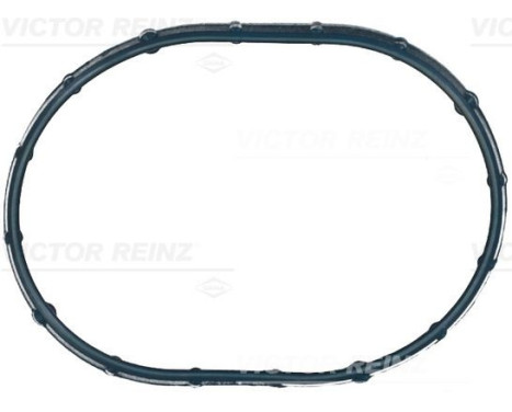 Gasket, intake manifold 71-21056-00 Viktor Reinz