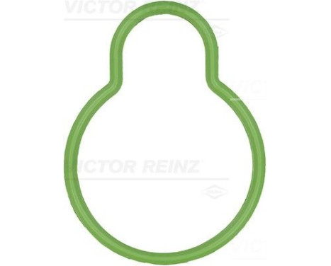 Gasket, intake manifold 71-29486-00 Viktor Reinz