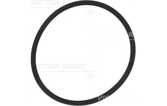 Gasket, intake manifold 71-34204-00 Viktor Reinz