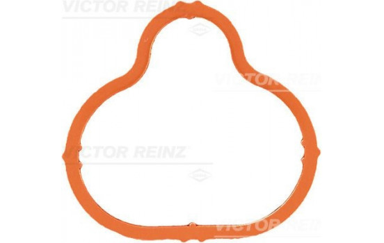 Gasket, intake manifold 71-34266-00 Viktor Reinz