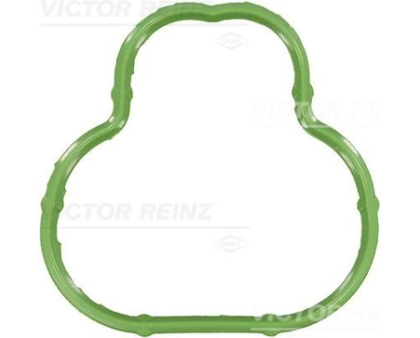 Gasket, intake manifold 71-34324-00 Viktor Reinz
