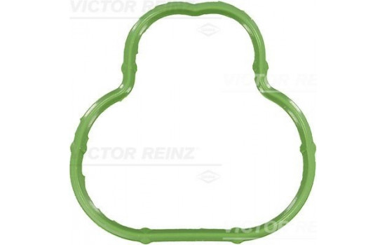 Gasket, intake manifold 71-34324-00 Viktor Reinz