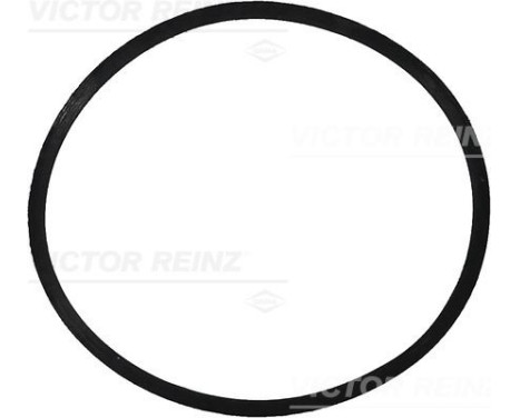 Gasket, intake manifold 71-34473-00 Viktor Reinz