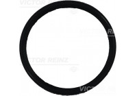 Gasket, intake manifold 71-35249-00 Viktor Reinz