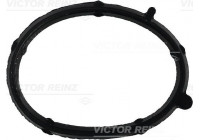 Gasket, intake manifold 71-35681-00 Viktor Reinz