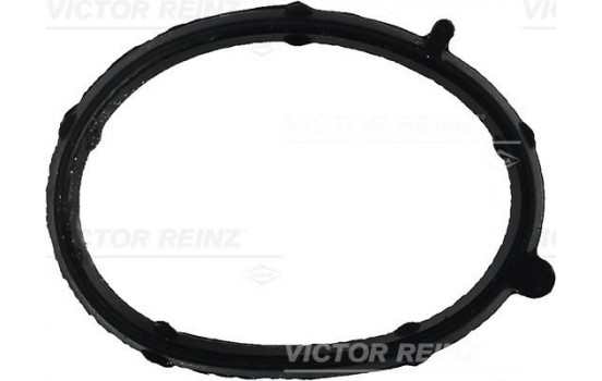 Gasket, intake manifold 71-35681-00 Viktor Reinz