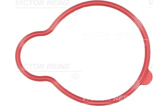 Gasket, intake manifold 71-35728-00 Viktor Reinz