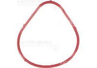 Gasket, intake manifold 71-35899-00 Viktor Reinz